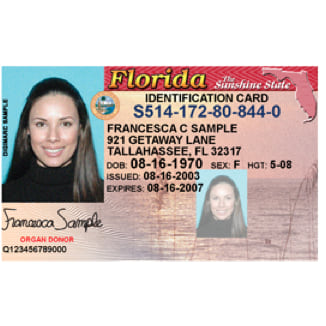 Translation of Driver's License - FIRST STEP TRANSLATIONS CORPORATION